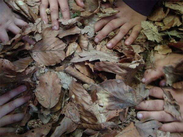 Kinderhände im Herbstlaub
